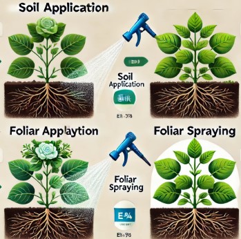 土壌散布と葉面散布の違いと活用法