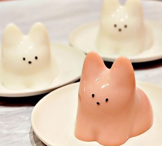 猫プリンってどんなもの？