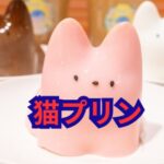 猫プリンどこで売ってる？通販・店舗・作り方まで完全ナビ