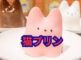 猫プリンどこで売ってる？通販・店舗・作り方まで完全ナビ