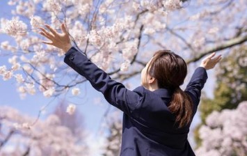 豊富な合格実績
