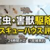 害虫・害獣駆除のレスキューハウスの評判！2026年最新の評判と自衛策
