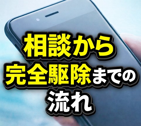 相談から完全駆除までの流れ