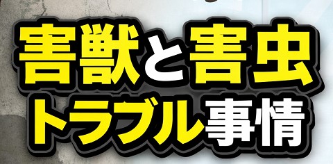 近年の害獣と害虫トラブル事情